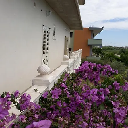 Dhoma Plazhi Ne Parajsa Guest house *